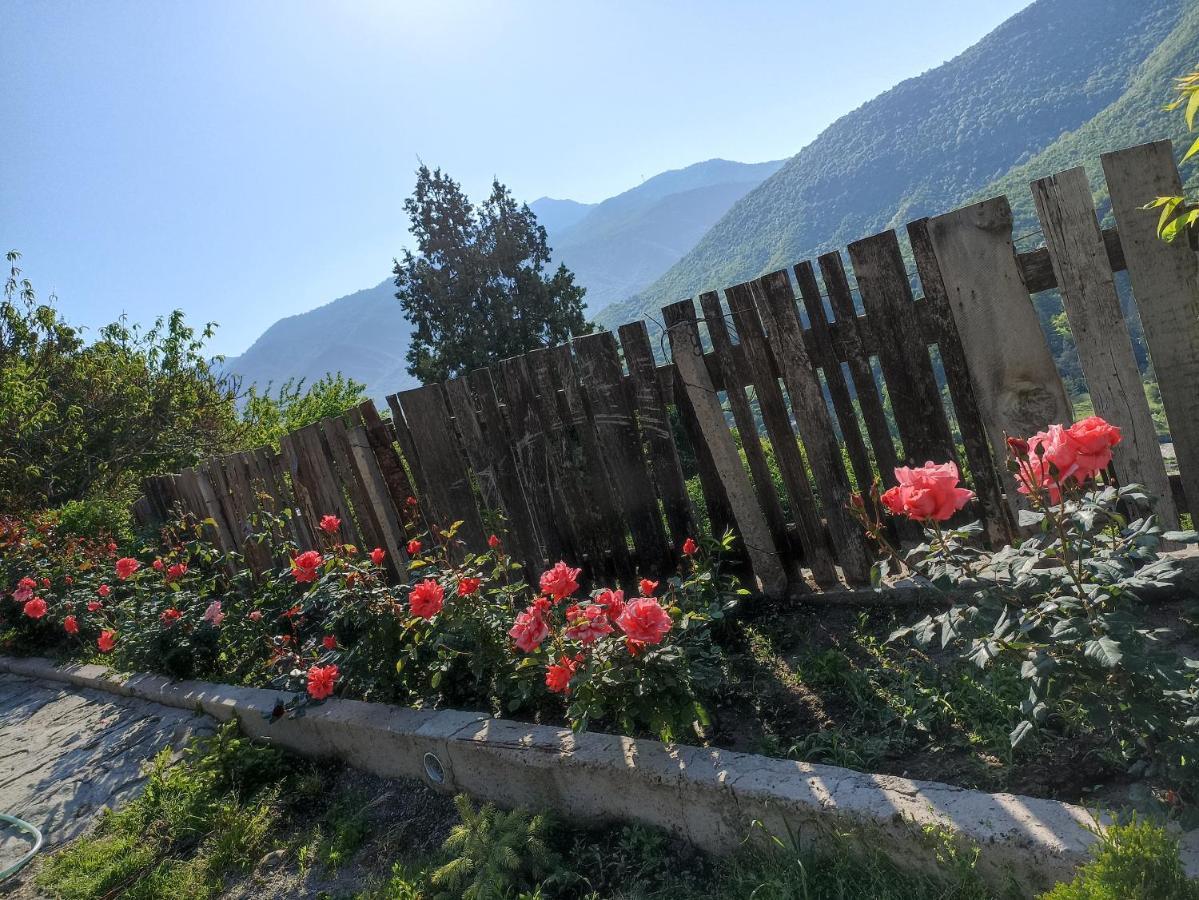 Green Garden Иджеван Экстерьер фото