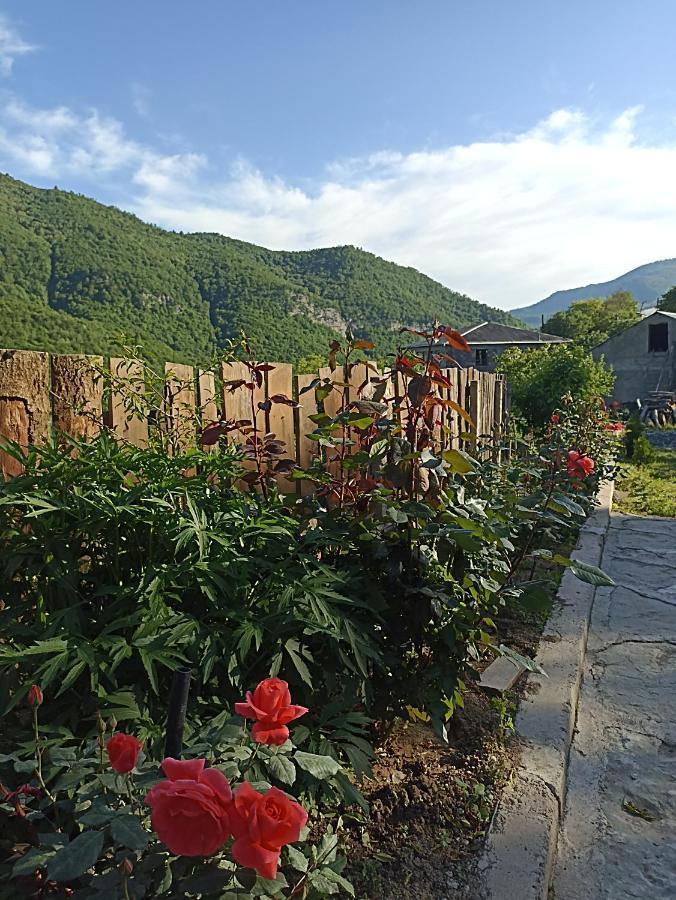 Green Garden Иджеван Экстерьер фото