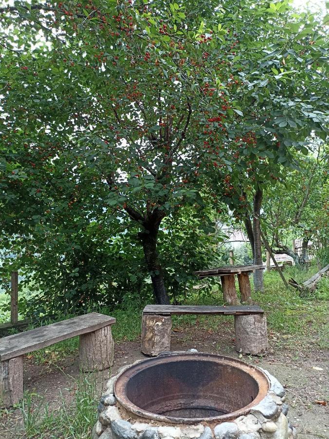 Green Garden Иджеван Экстерьер фото