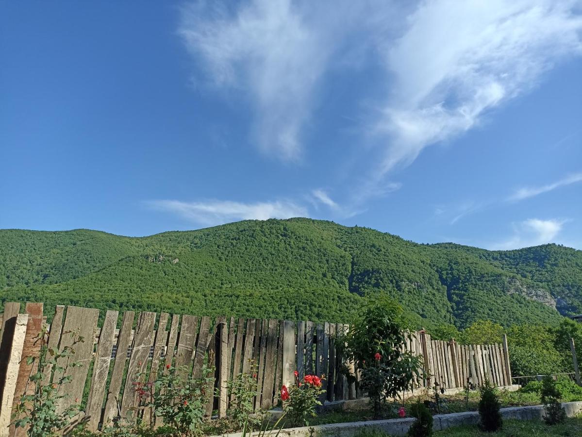 Green Garden Иджеван Экстерьер фото