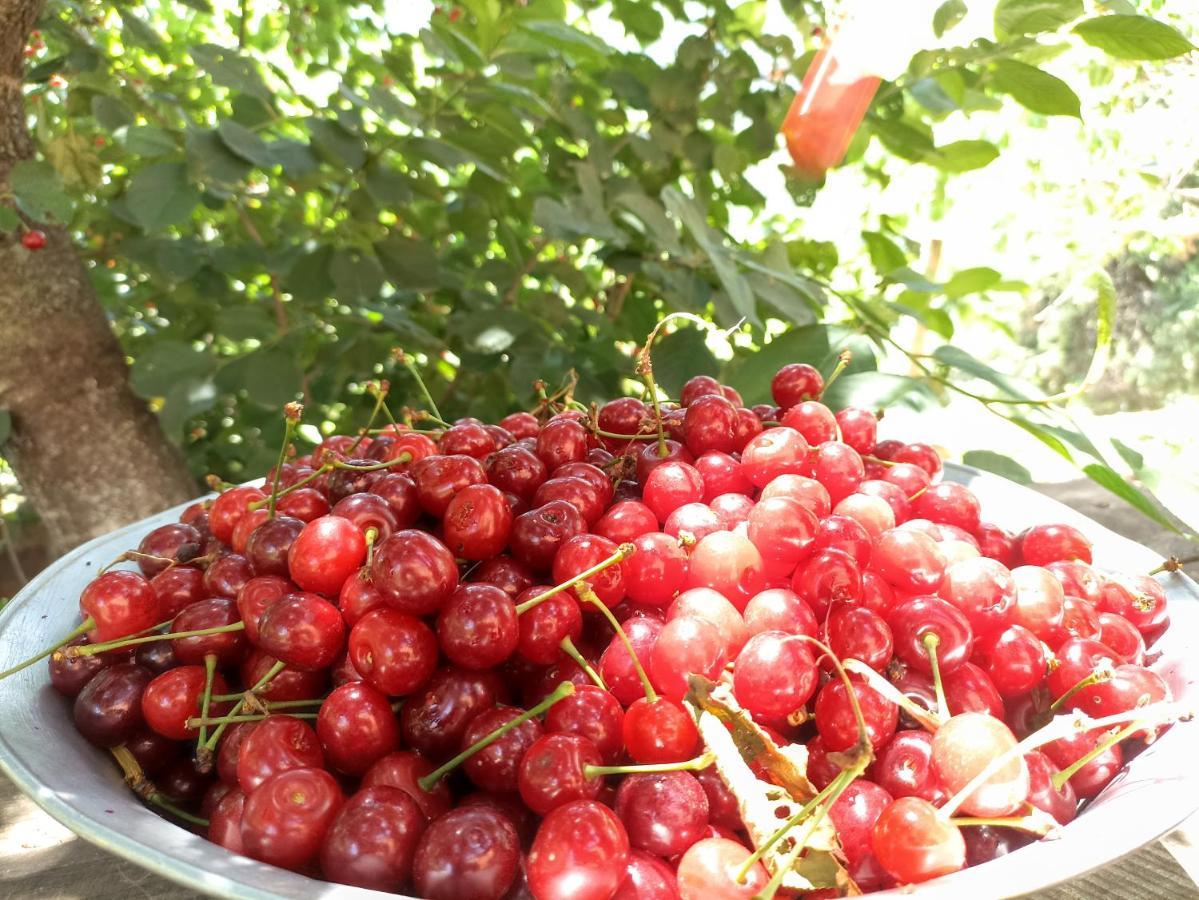 Green Garden Иджеван Экстерьер фото