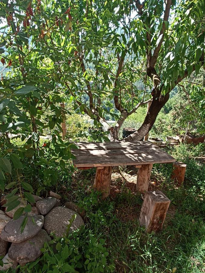 Green Garden Иджеван Экстерьер фото